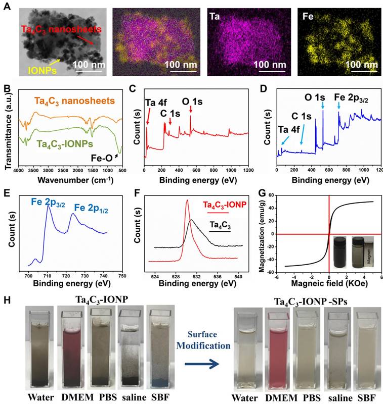 Theranostics Image