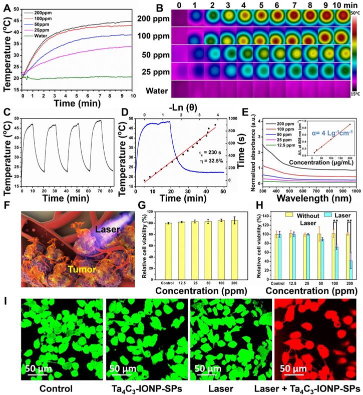 Theranostics Image