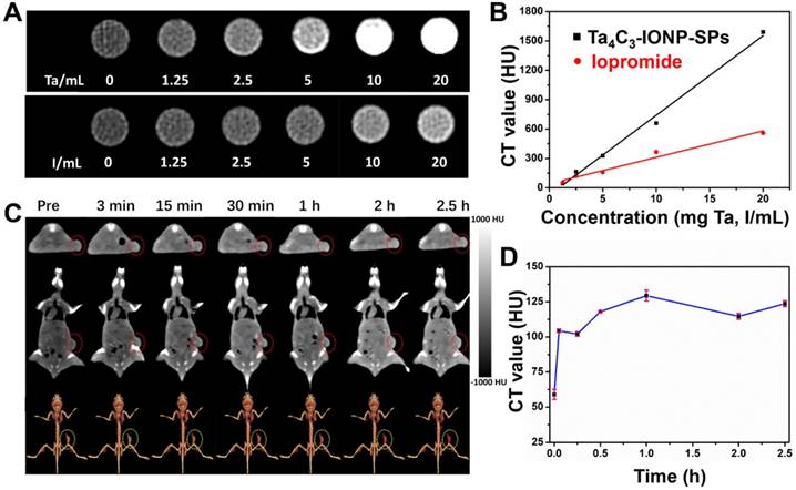 Theranostics Image