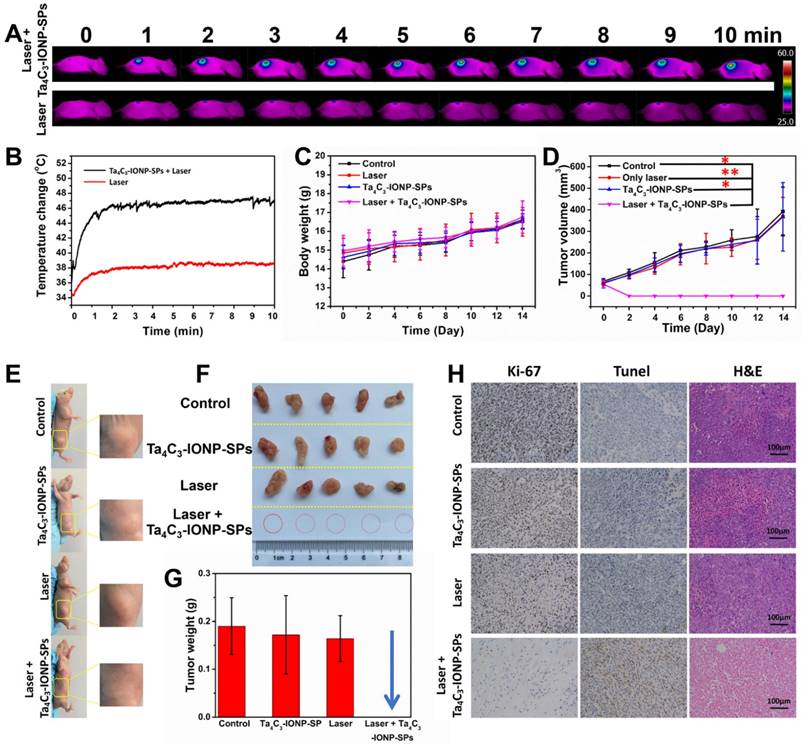 Theranostics Image