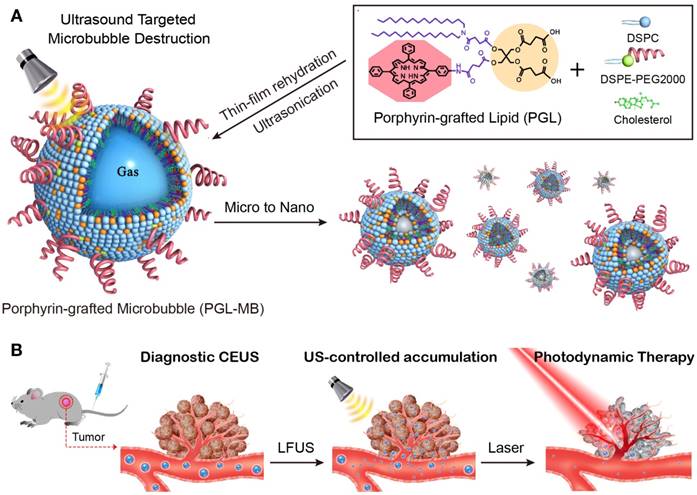 Theranostics Image