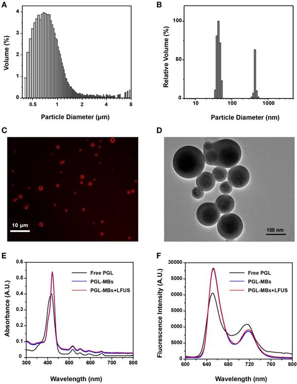 Theranostics Image