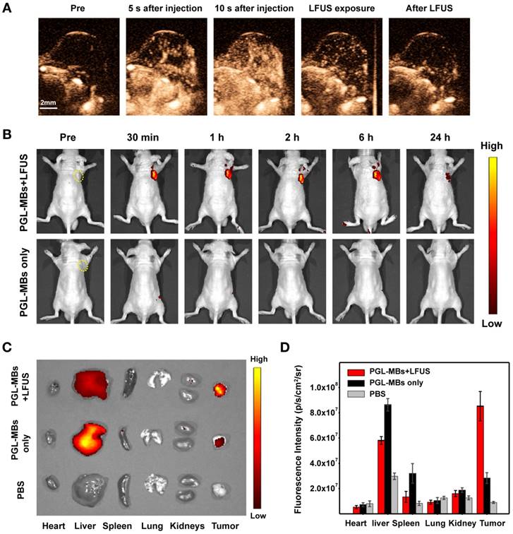 Theranostics Image