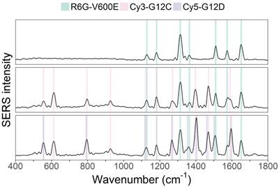 Theranostics Image