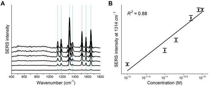 Theranostics Image