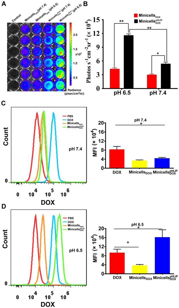 Theranostics Image