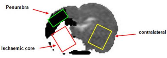 Theranostics Image