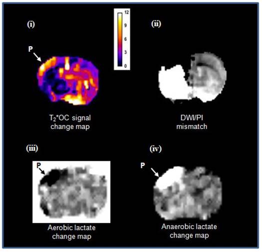 Theranostics Image