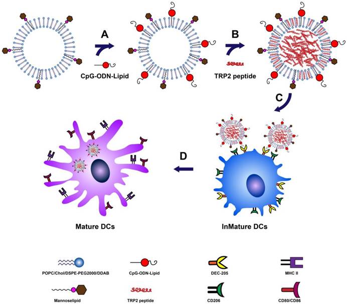 Theranostics Image