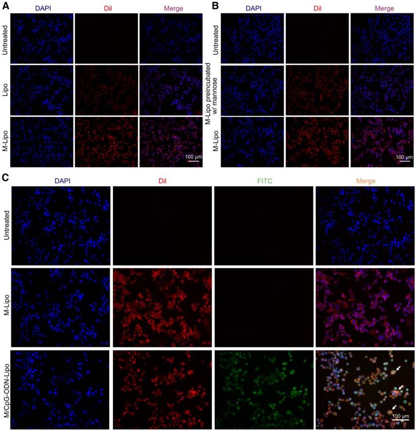 Theranostics Image