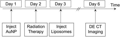 Theranostics Image