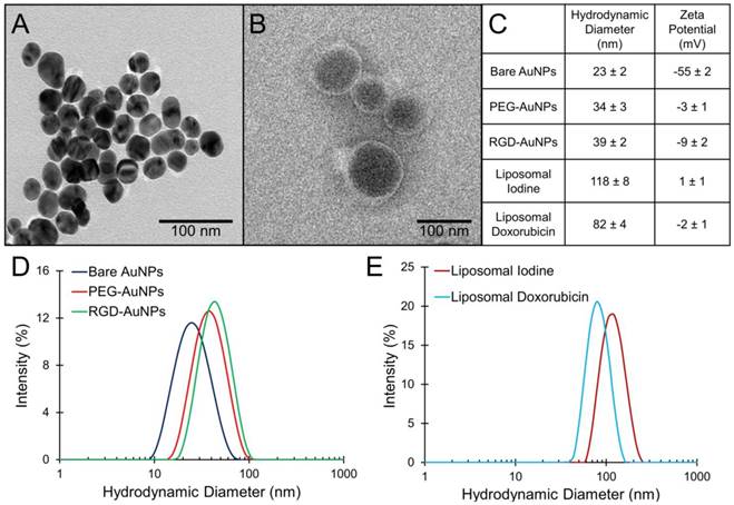 Theranostics Image