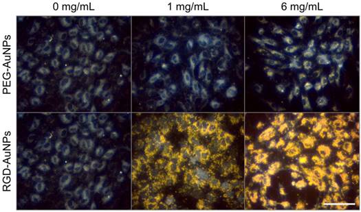 Theranostics Image