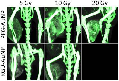 Theranostics Image