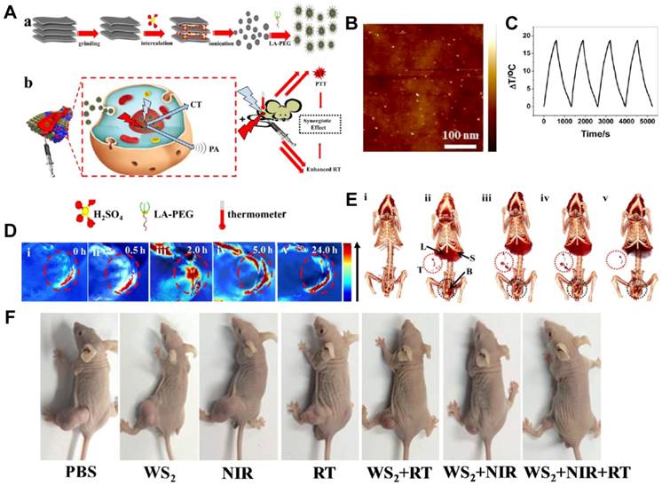 Theranostics Image