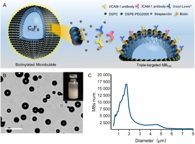 Theranostics Image