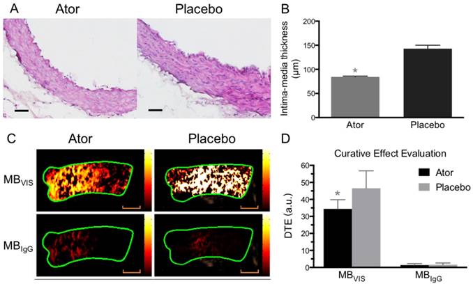 Theranostics Image