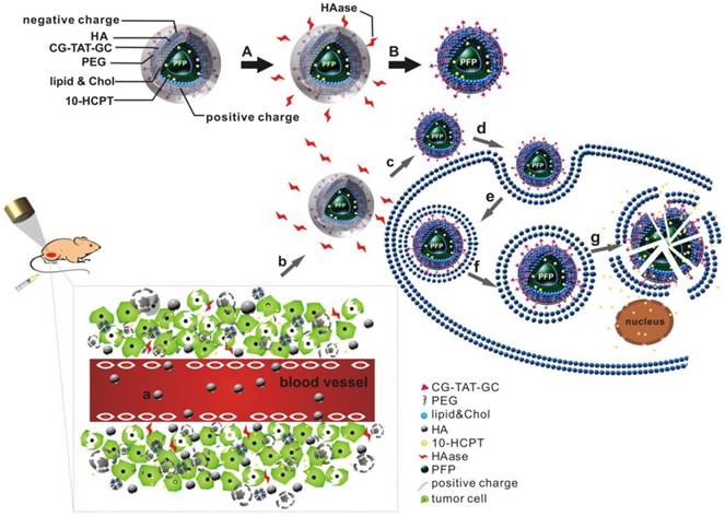 Theranostics Image