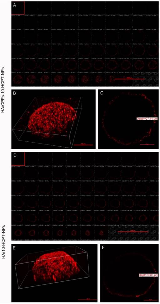 Theranostics Image