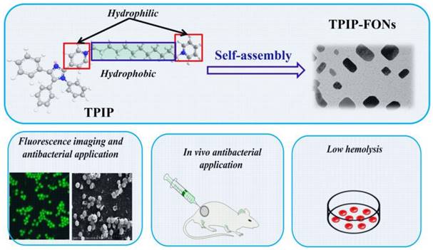 Theranostics Image