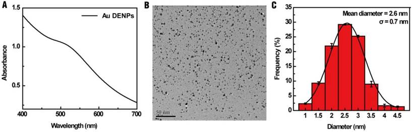 Theranostics Image