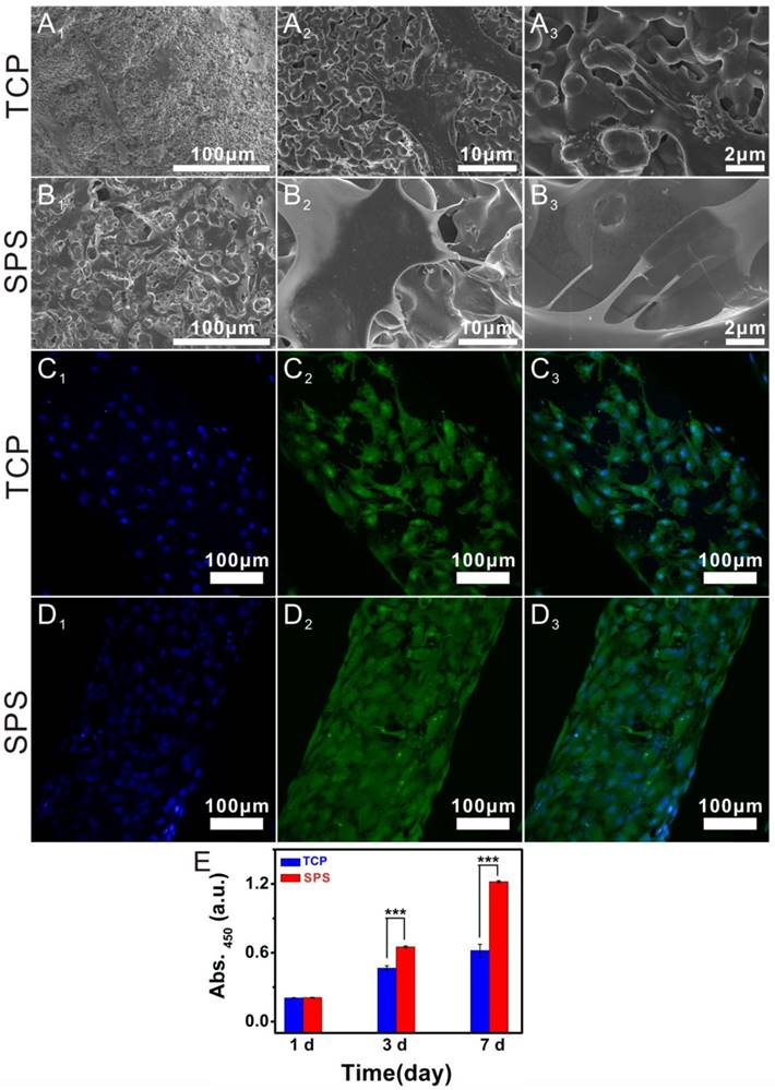 Theranostics Image