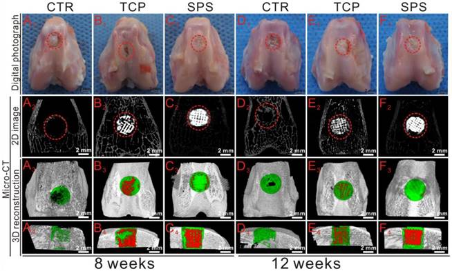 Theranostics Image