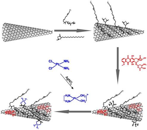 Theranostics Image