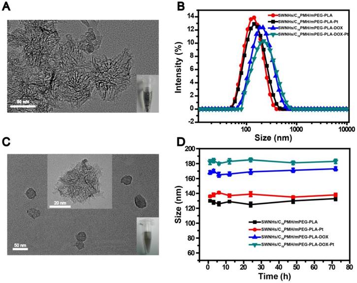 Theranostics Image