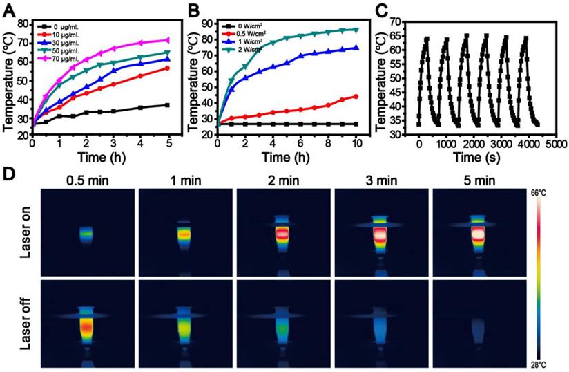 Theranostics Image