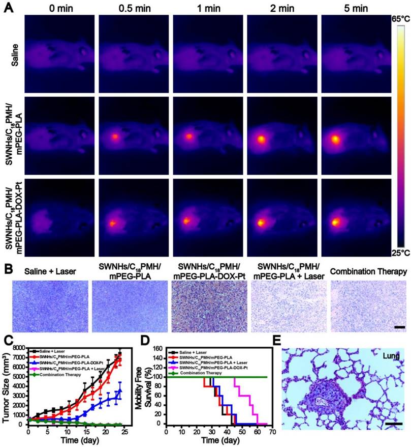 Theranostics Image