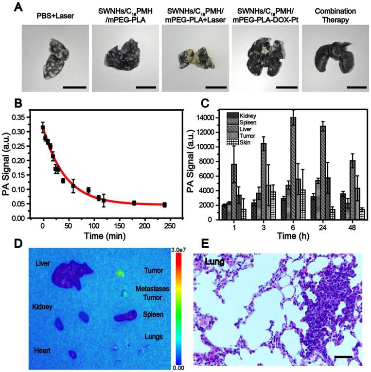 Theranostics Image