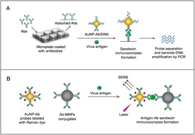 Theranostics Image