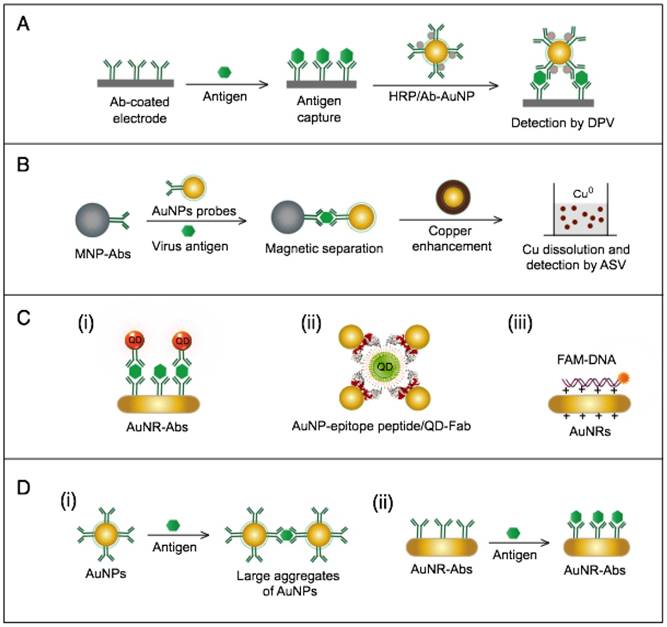 Theranostics Image