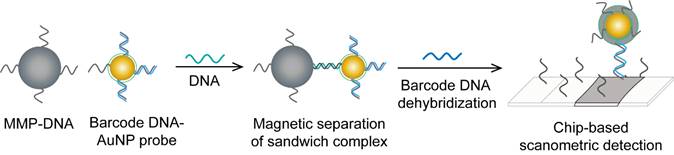 Theranostics Image