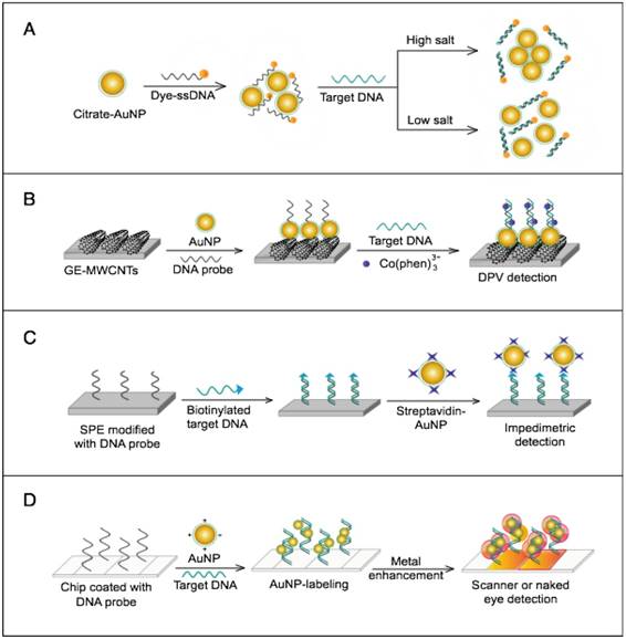 Theranostics Image