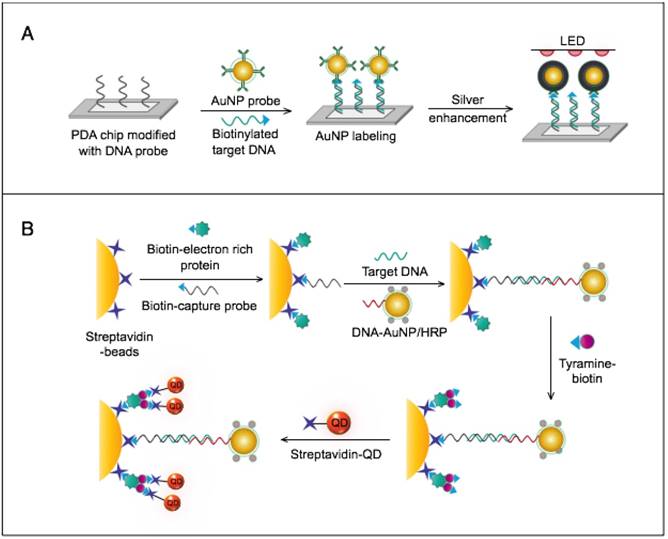 Theranostics Image