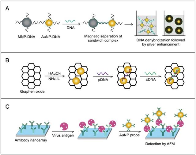 Theranostics Image