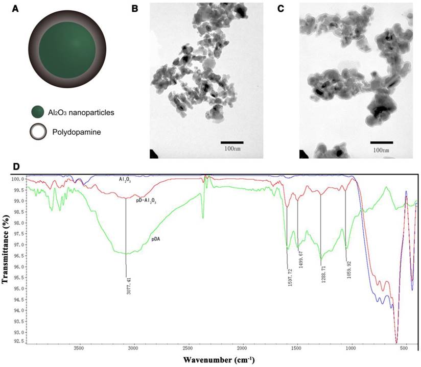 Theranostics Image