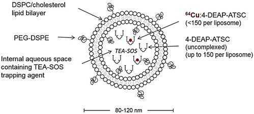 Theranostics Image