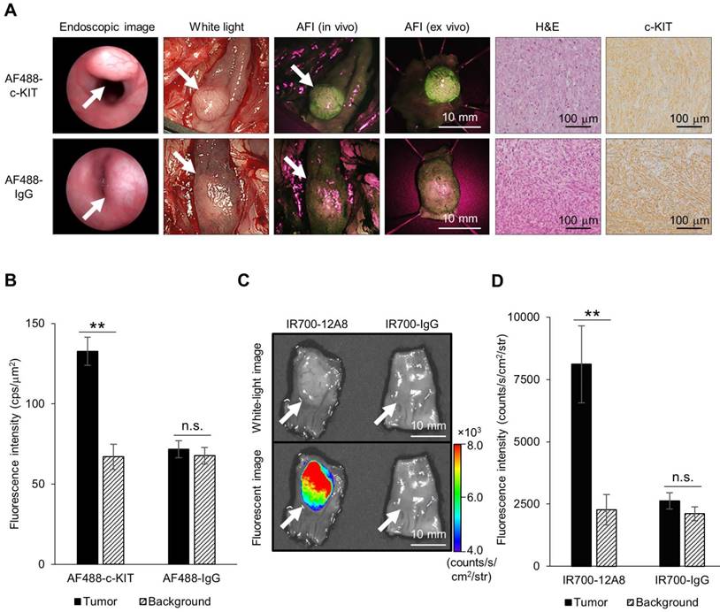 Theranostics Image