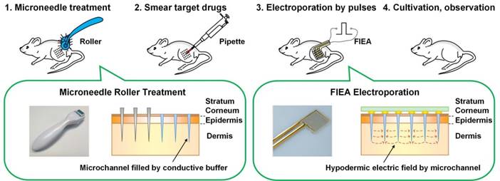 Theranostics Image