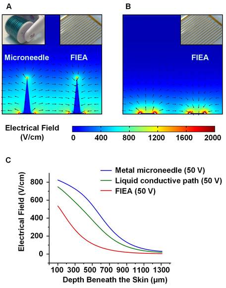 Theranostics Image