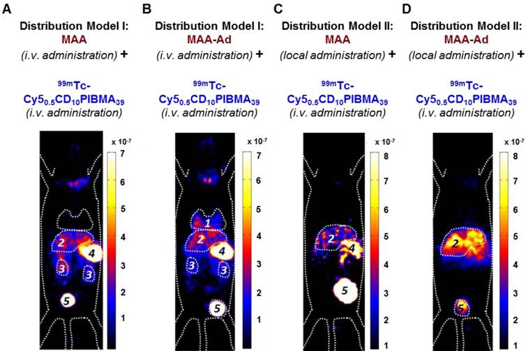 Theranostics Image