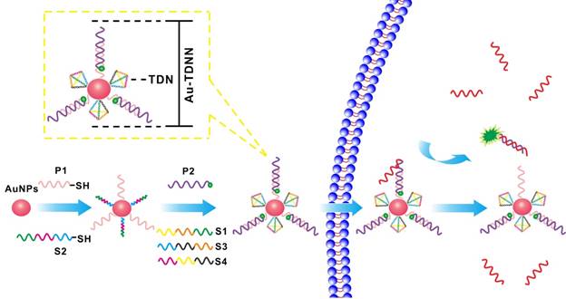 Theranostics Image