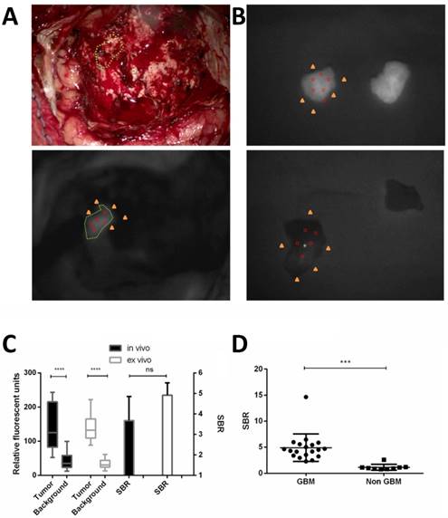 Theranostics Image