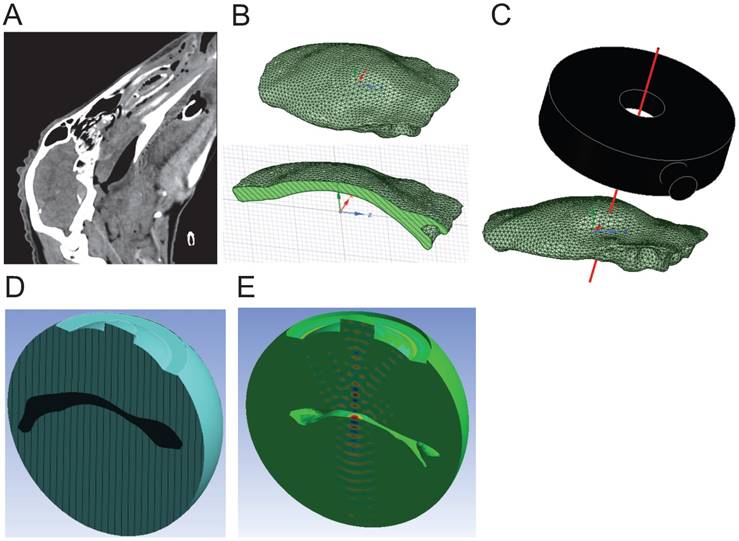 Theranostics Image