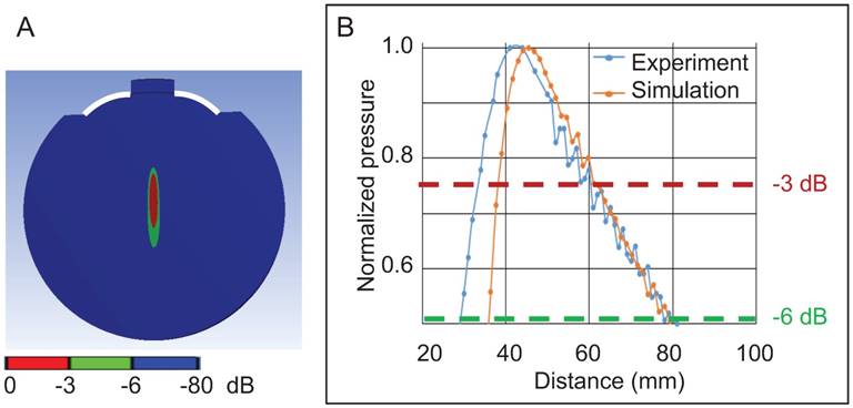 Theranostics Image