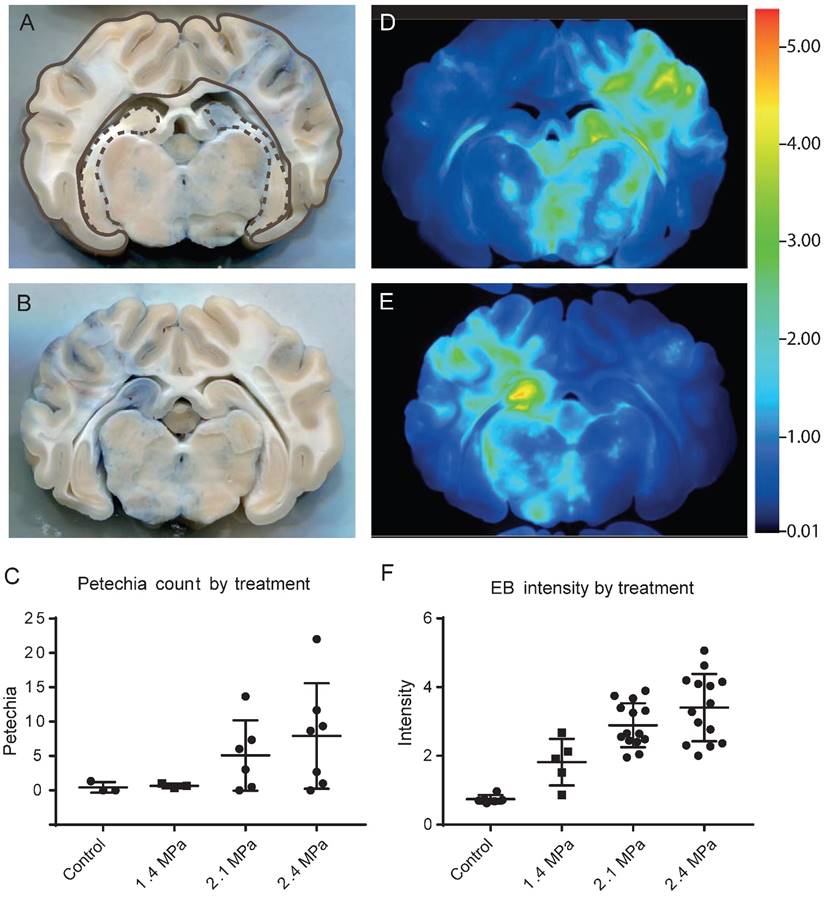 Theranostics Image