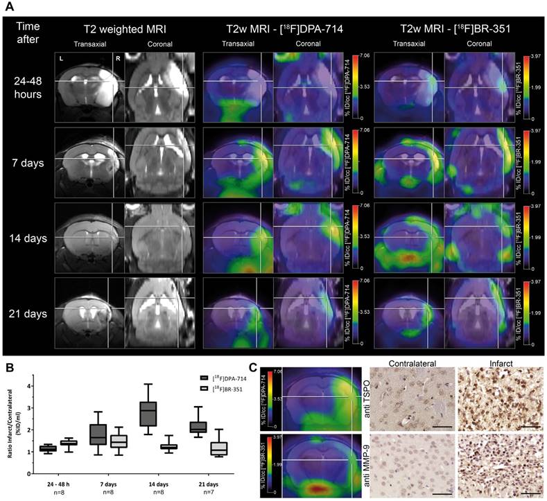 Theranostics Image